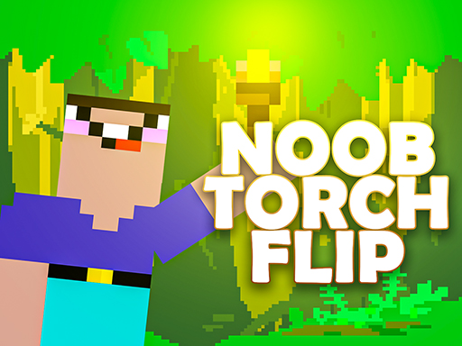 Noob Torch Flip 2d Game