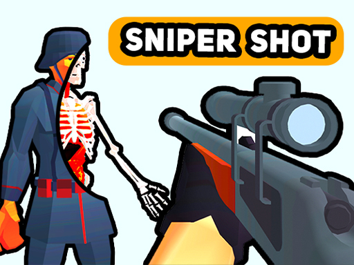 Sniper Shot Bullet Time Game